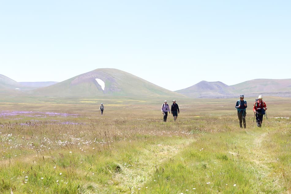 19Juli01 Export W950