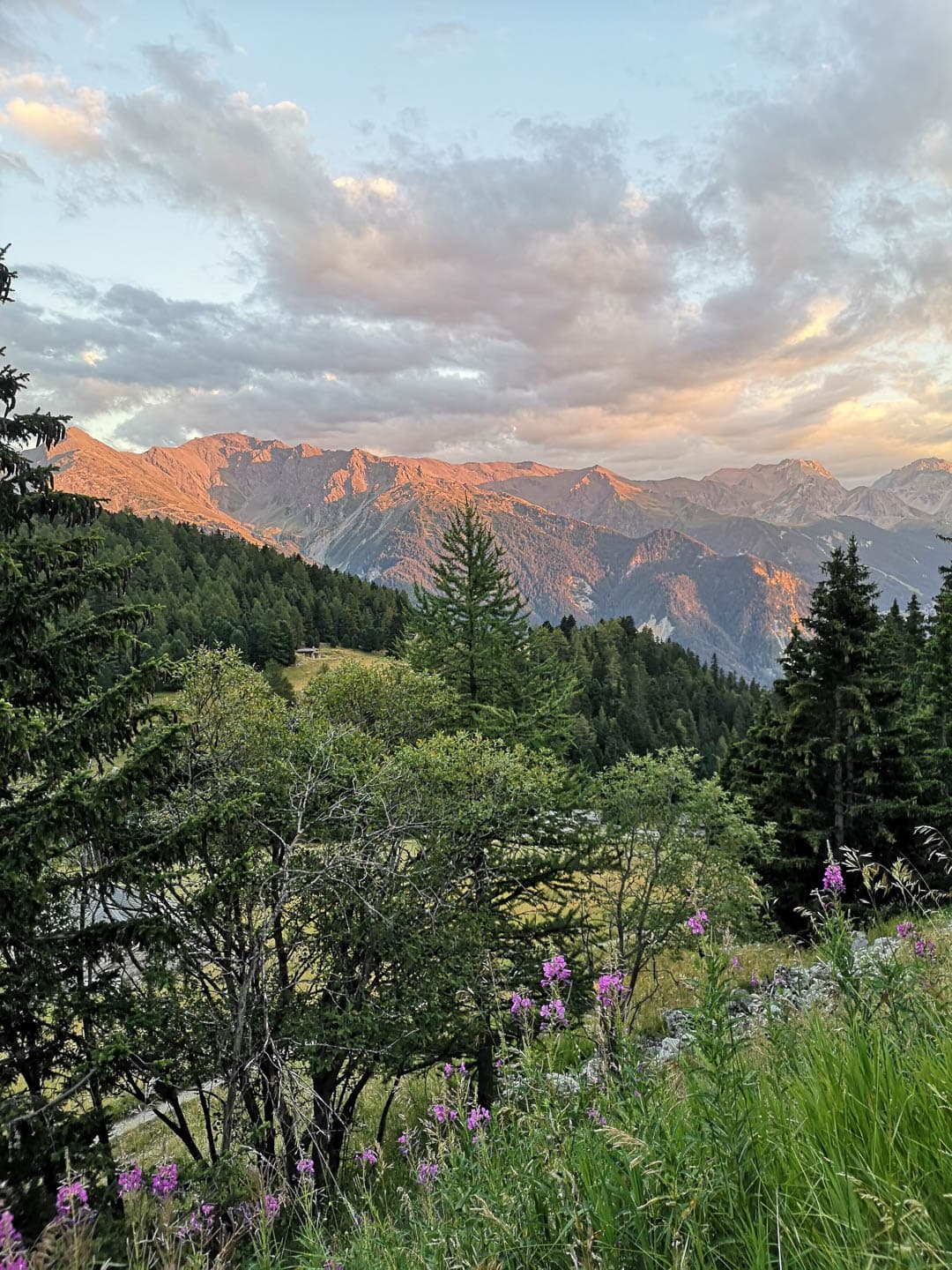 IMG 20230811 203619 1080