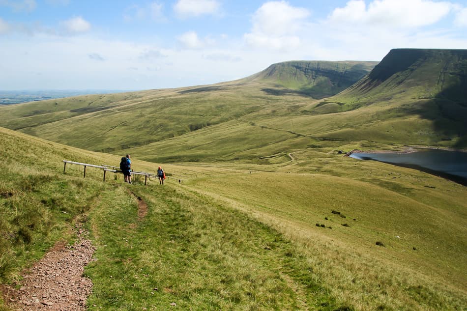 IMG 7291 Export W950