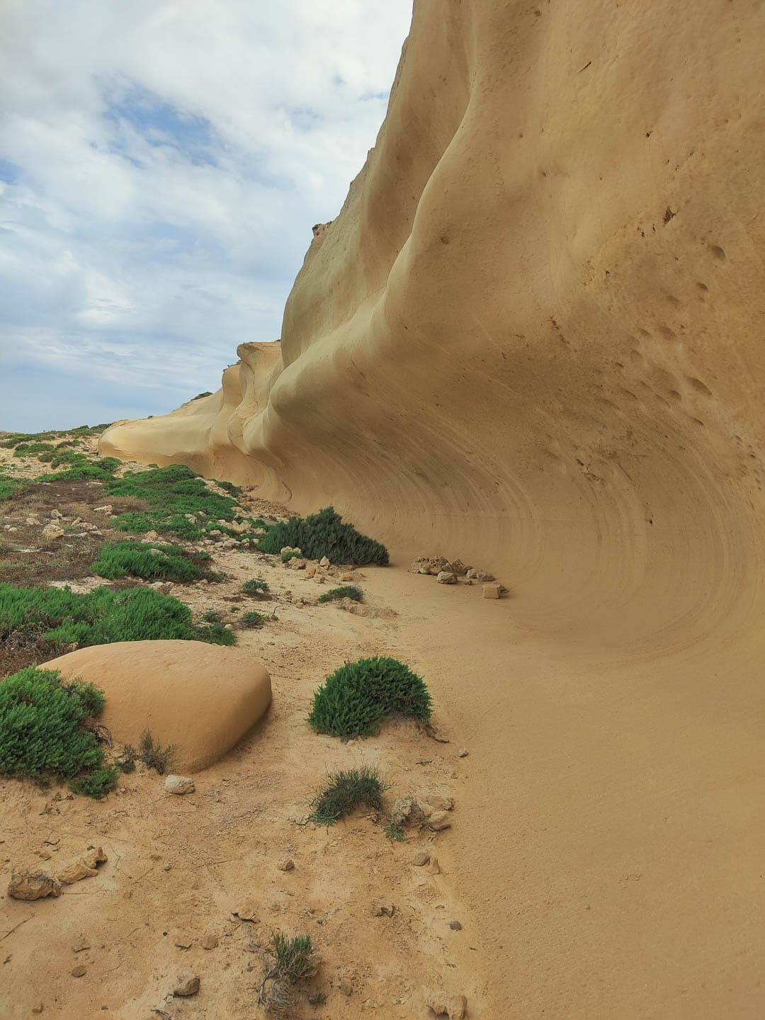 IMG 20230526 103855 Yentl Steurs 1080