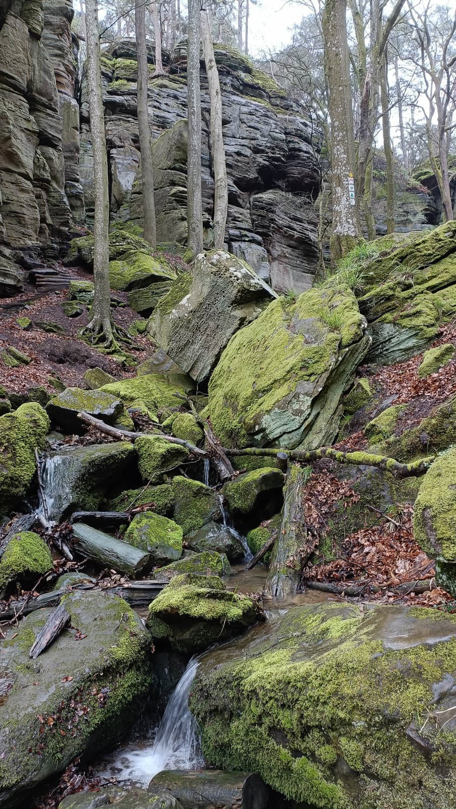 IMG20240403115204 Kevin Van De Moortele 1080