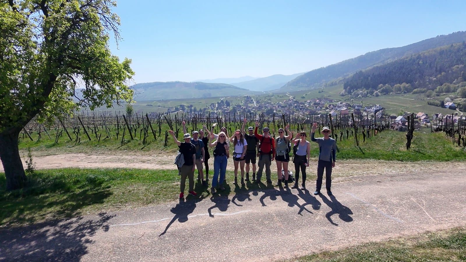 Vogezen Lucasflies (6)