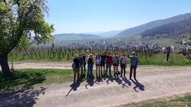 Vogezen Lucasflies (6)