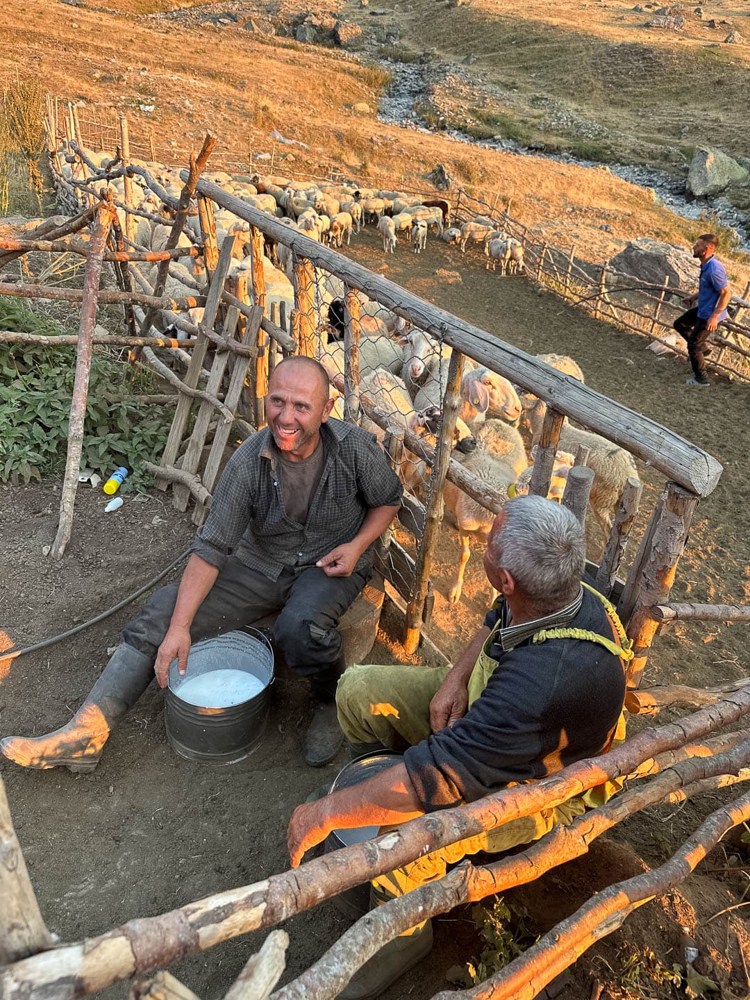 AL4AAA Amarylismeuninck 2024 (4) 1080