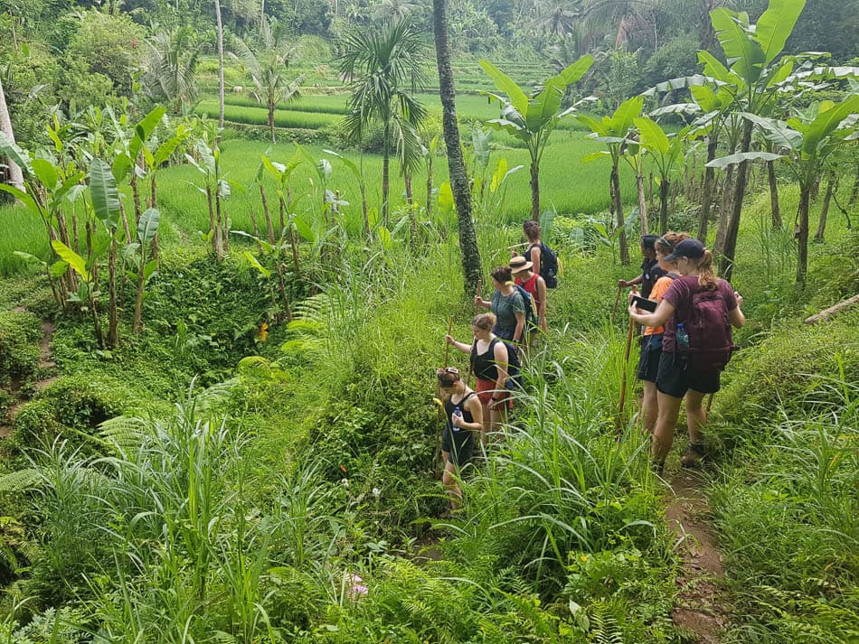 Whatsapp Image 2024 04 26 At 07.42.52 Selectie Joker W950