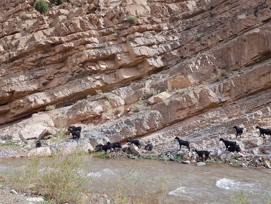 20231027 121739 Selectie Charlotte Stevens W950