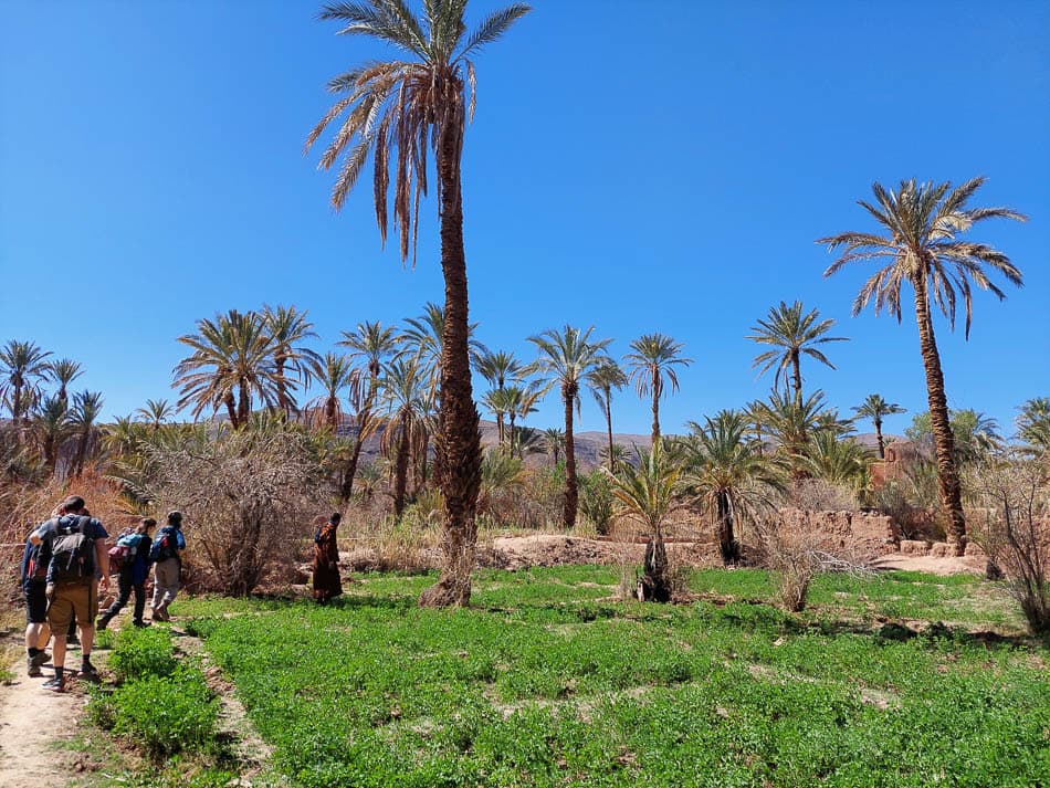 20230311 114931 Selectie Stef Aerts W950