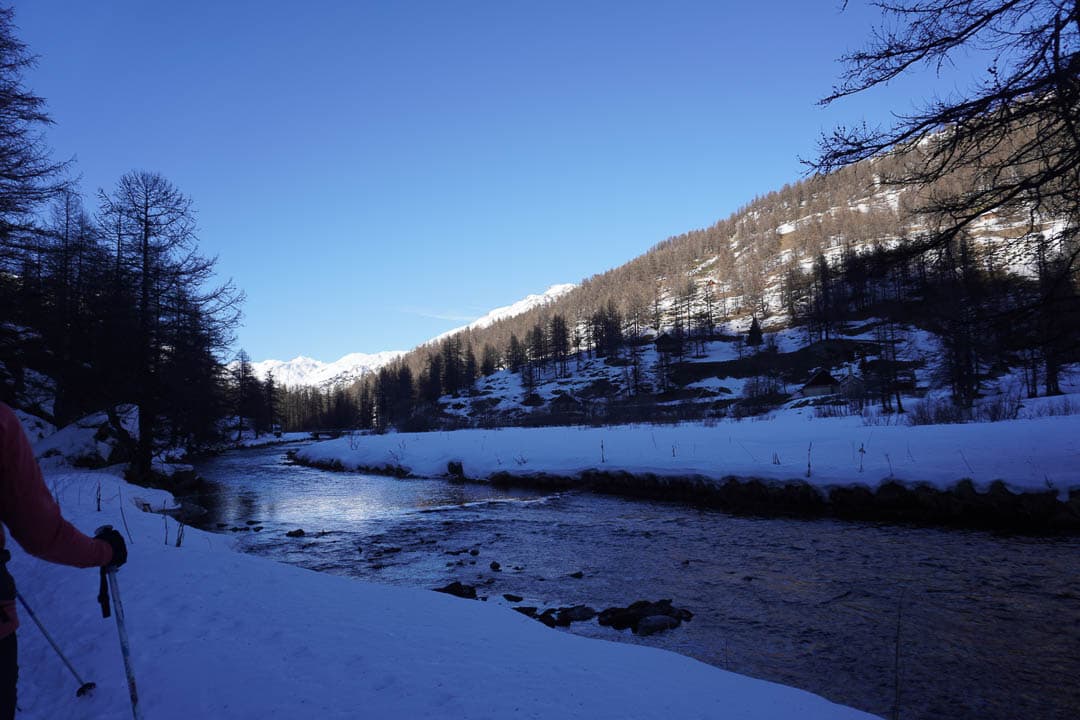 Image00483 Van Dijck Kwinten 1080