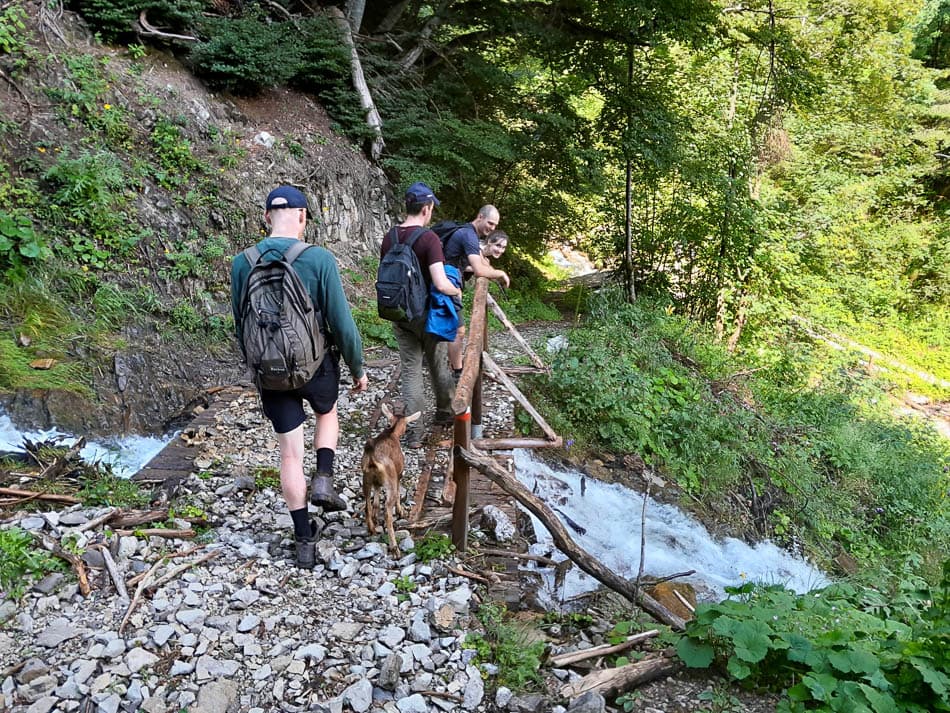 20240723 154636 Selectie Tom Cornelis W950