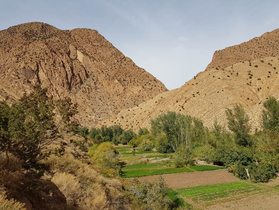 20231028 133638 Selectie Charlotte Stevens W950