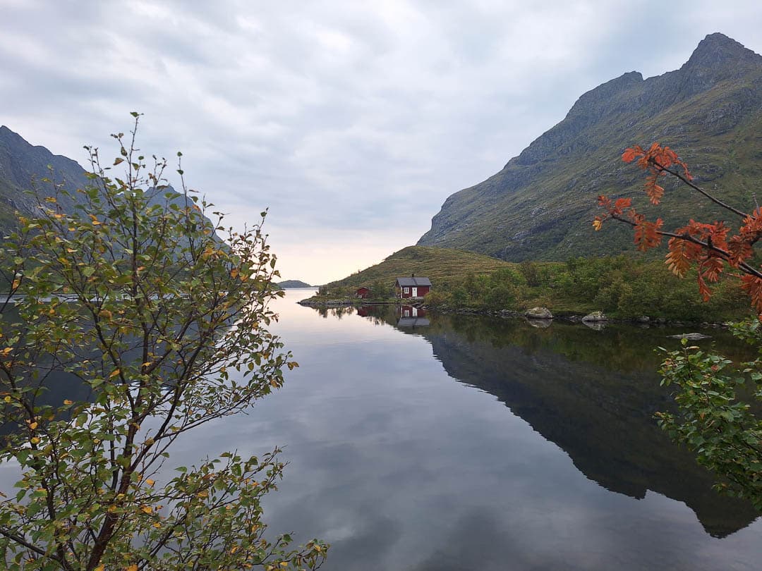 NO4LFA Dorienvdh 2024 (3) Dorien VDH 1080