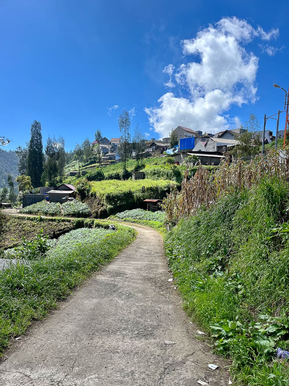 Image00015 Selectie Eveline Eveline Claes W950 Eveline Claes Eveline Claes W950