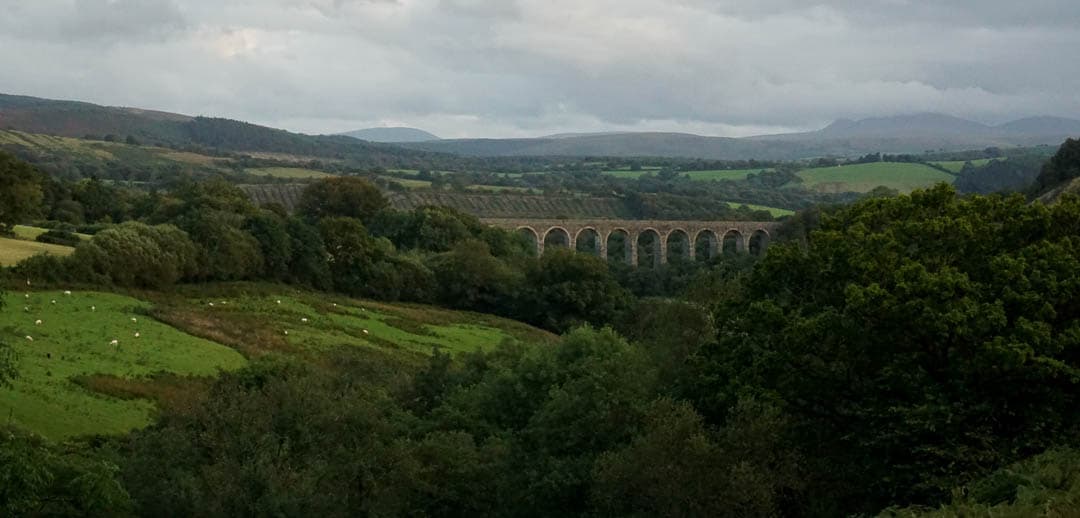 DSC02664 Anneke Van Bockstaele 1080