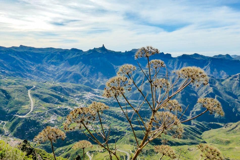 Gran Canaria Caroline Demolie 13_export_w950