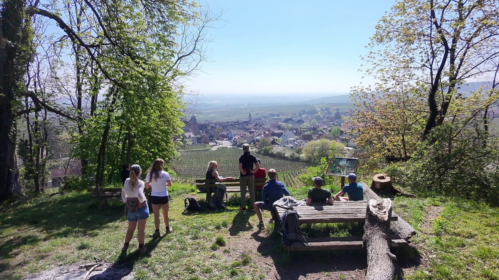 Vogezen Lucasflies (1) (1)