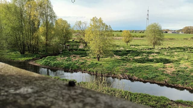 20250420 175058 1080