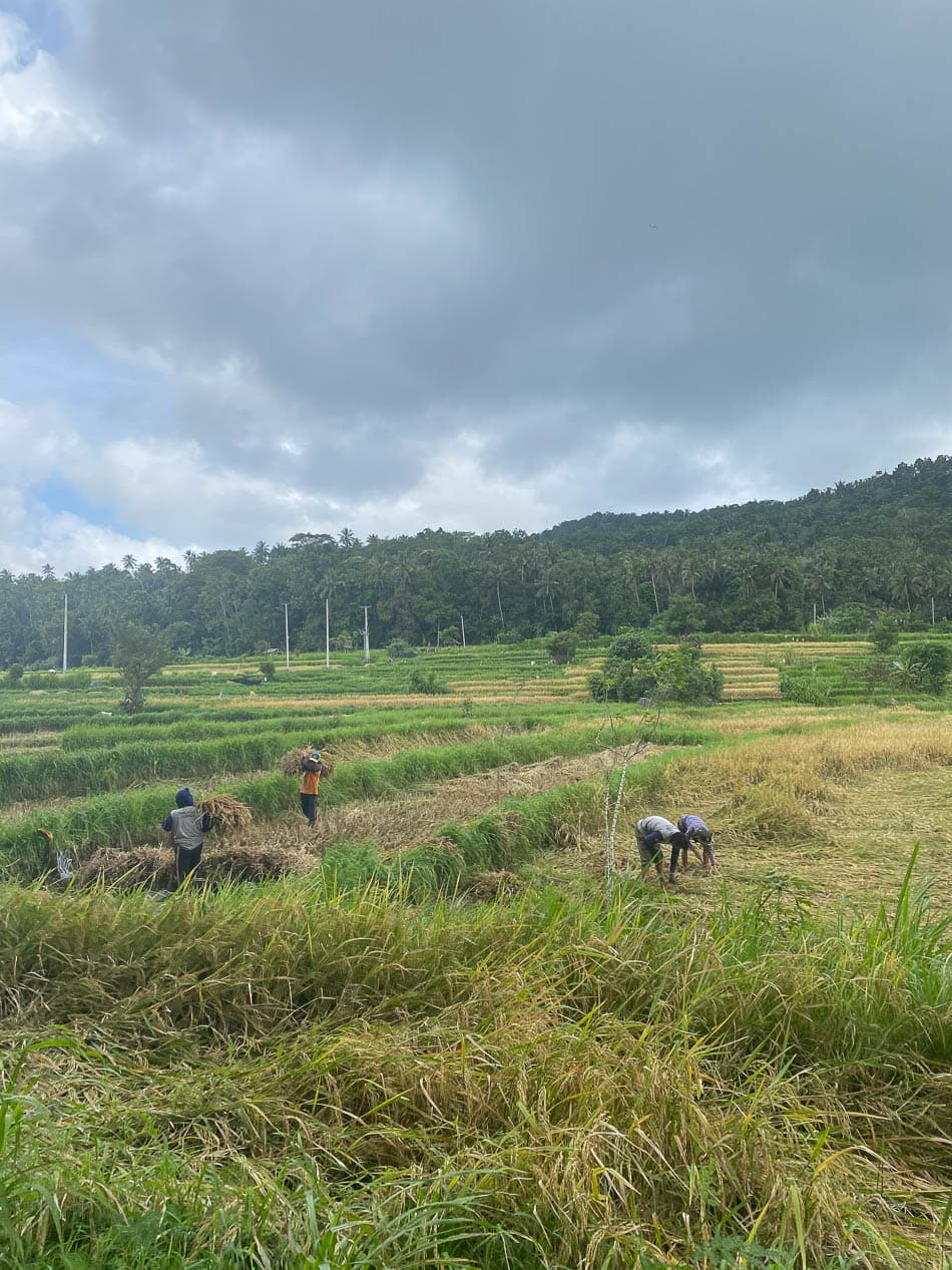 IMG 6699 Selectie Joker W950