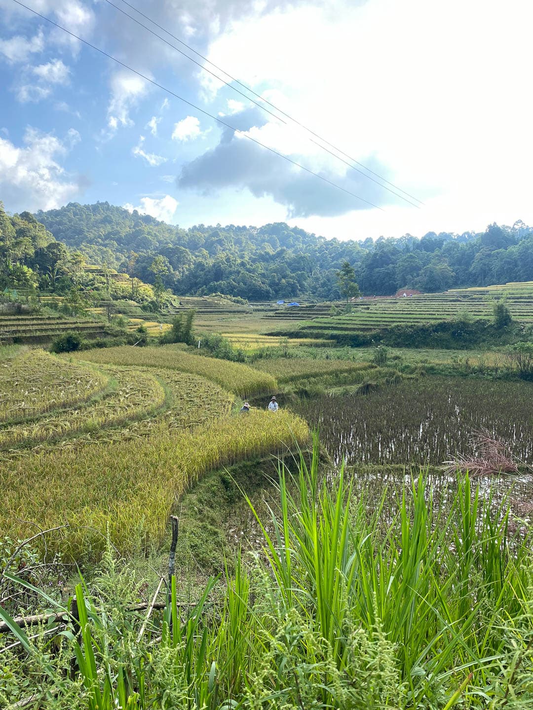 VNAN 021022 Mieke Van Kerrebroeck (58) 1080