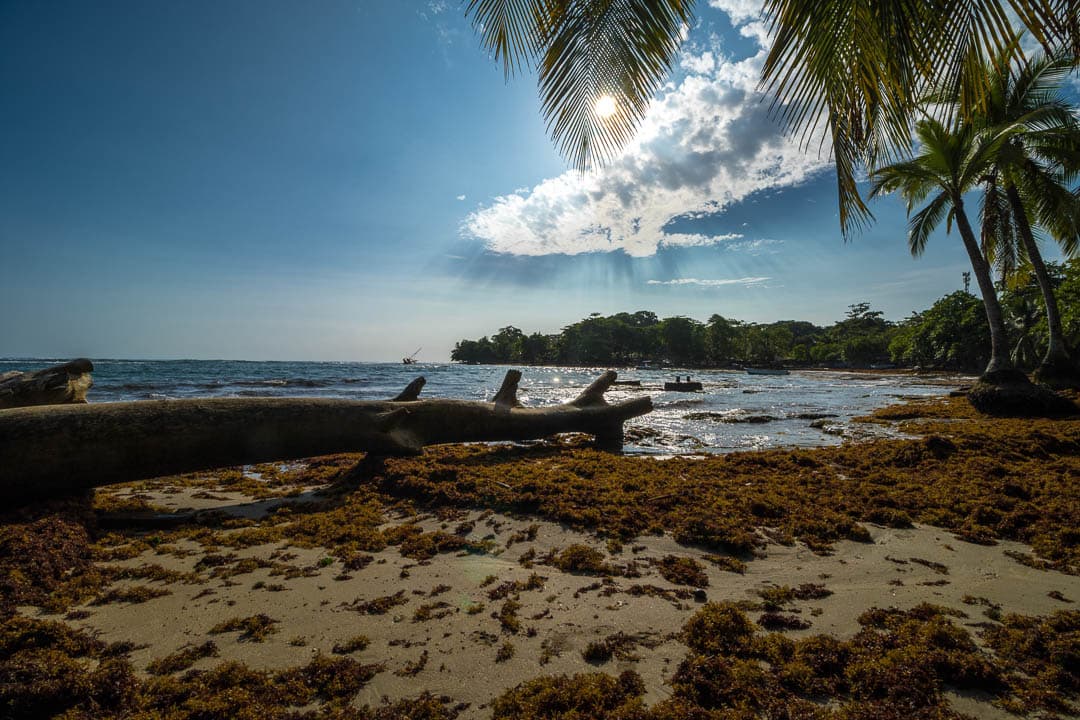 CRAT 2019 Davedeceuninck (25) Dave Deceuninck 1080