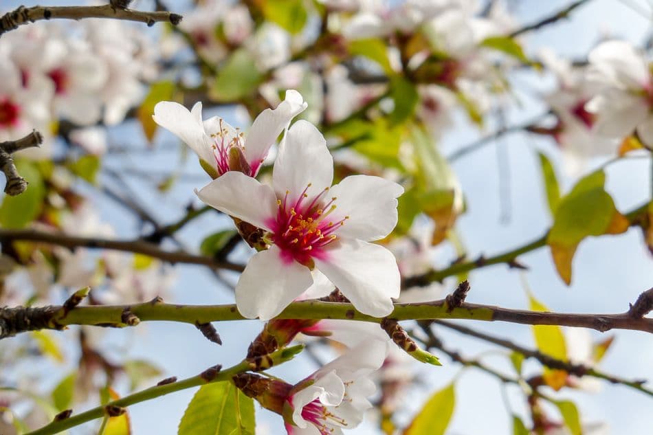 Gran Canaria Caroline Demolie 5_export_w950