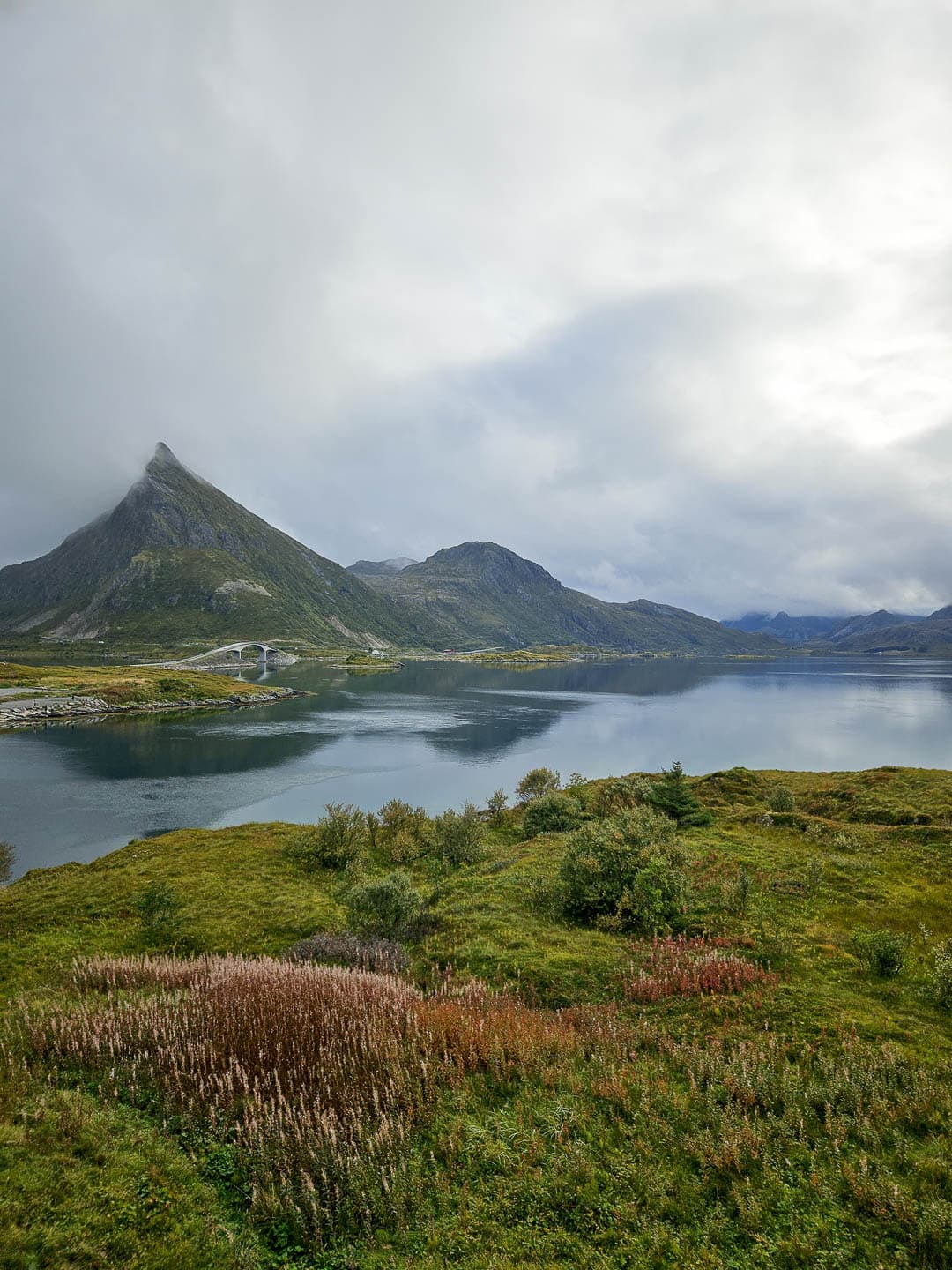 NO4LFA Cedricon 2024 (3) Cedric On 1080