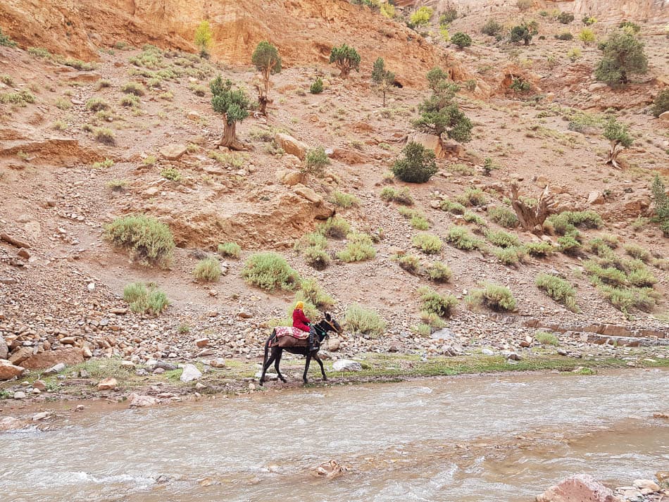 20231027 131707 Selectie Charlotte Stevens W950