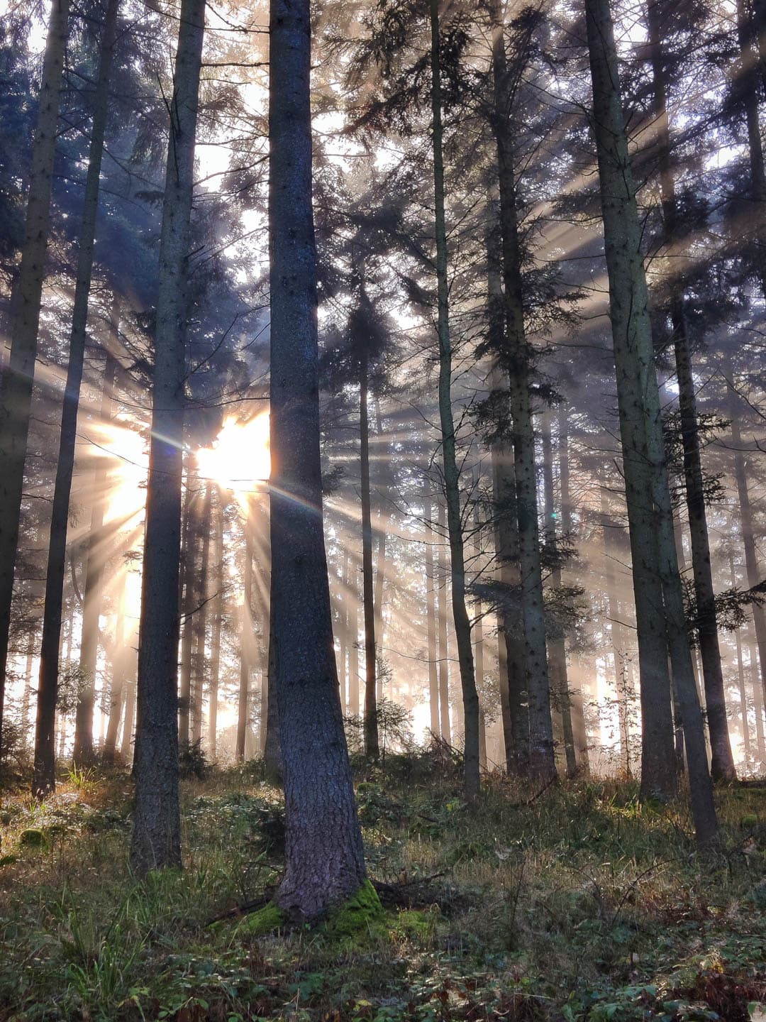 FR4VGB Stefvancampenhout 2024 (1) Stef Van Campenhout 1080