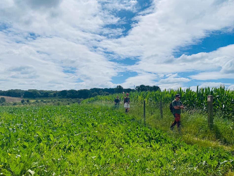 Image00003 Selectie Yasmin Haegeman W950