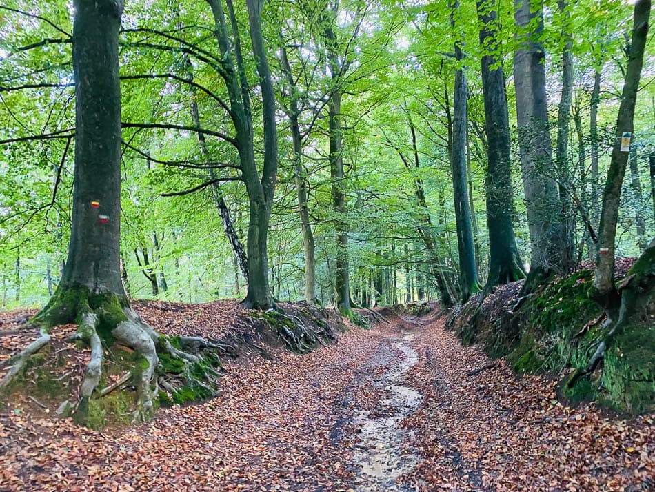 Image00010 Selectie Yesmin Haegeman W950