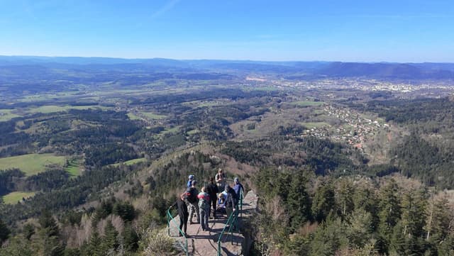 Vogezen Lucasflies (1)