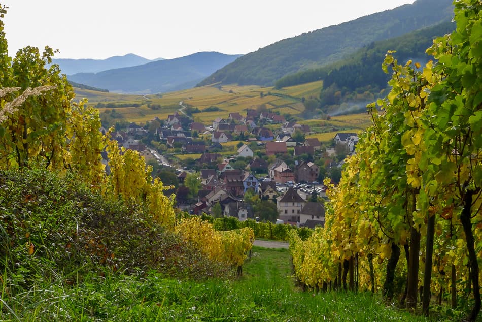 P1010784 Export W950