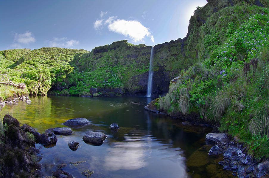 Cffa9832 86F9 4B5a 930C 60Ad64dd1852 NUNOFBFONSECA@HOTMAIL.COM 1080