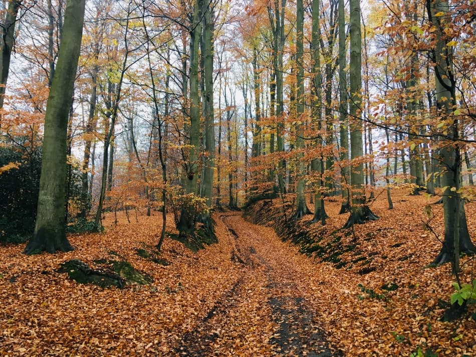 Foto-24-11-18-13-26-05_export