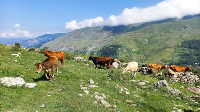 20230703 100433 1080