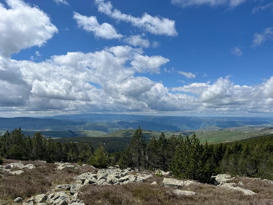 IMG 2364 Selectie W950