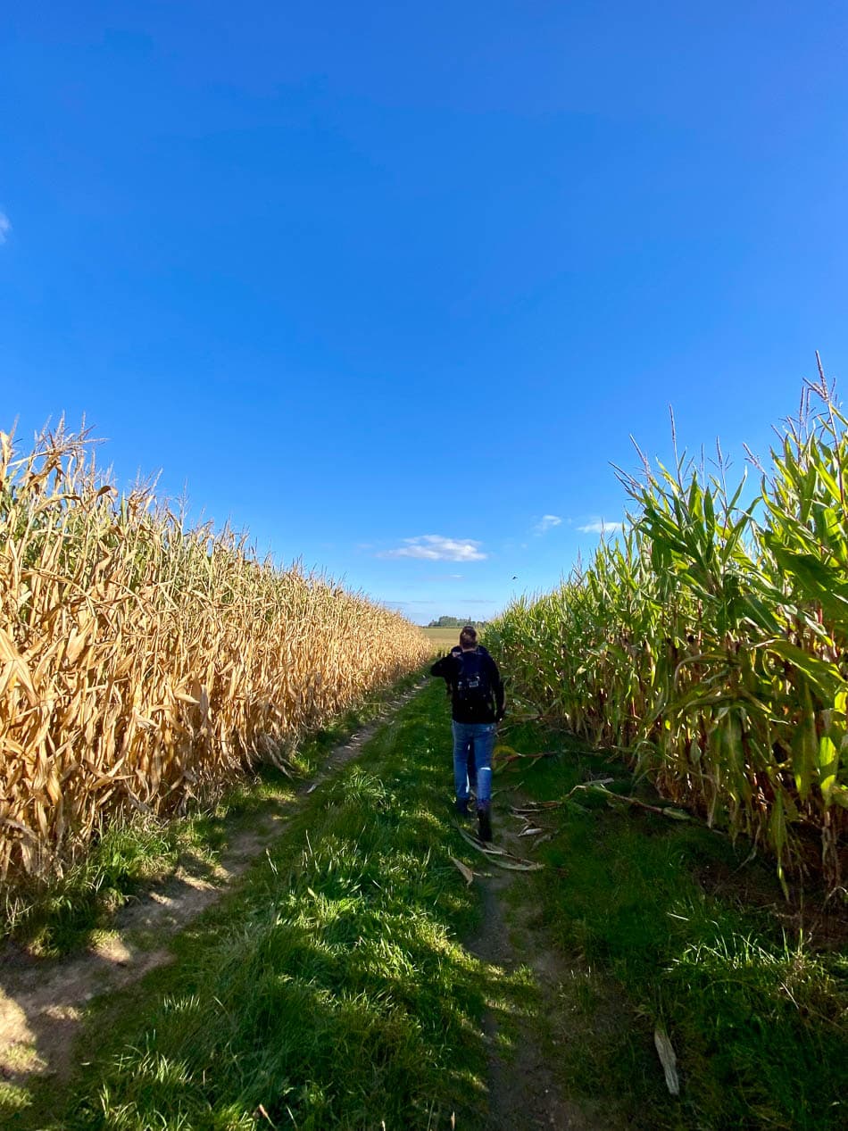 Image00002 Selectie Yasmin Haegeman W950