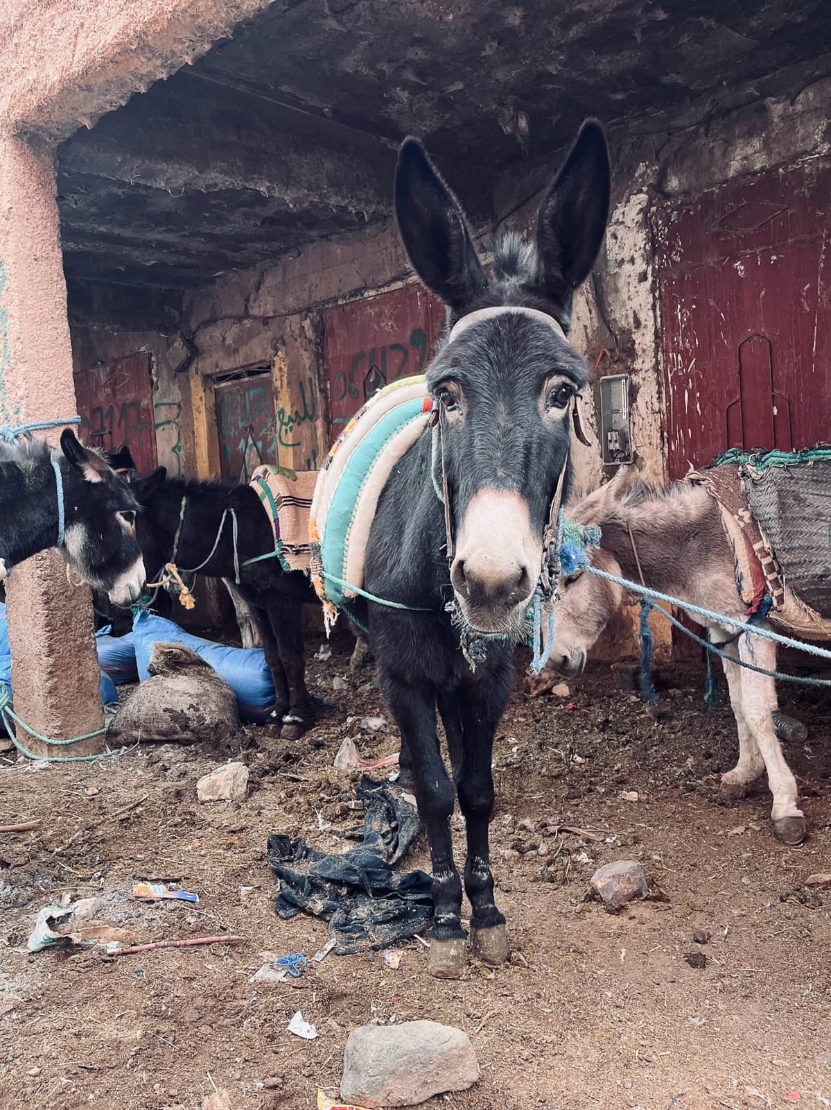 IMG 0354 Selectie Kasper Van Waes W1280