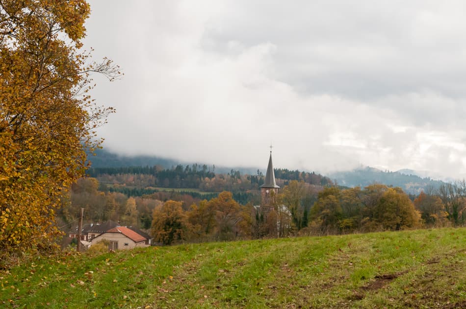 DSC 7006 Export W950