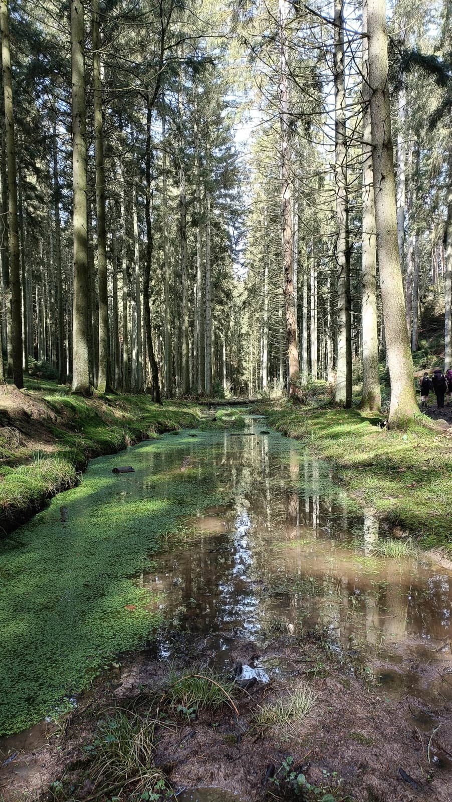 IMG20240405105035 Kevin Van De Moortele 1080