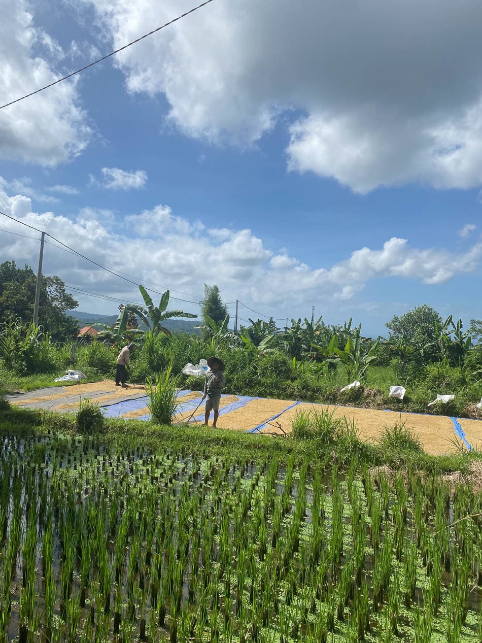 IMG 6658 Selectie Joker W950