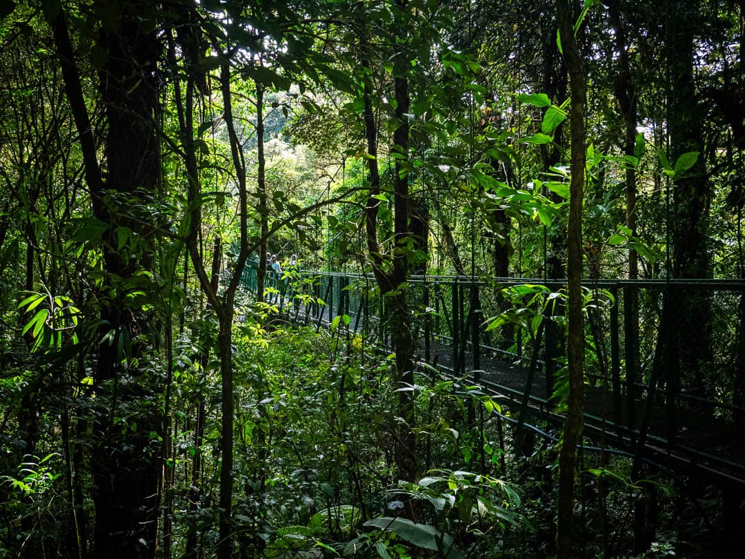 CRAT 23022024 Julie Leyers (171) Julie Leyers 1080