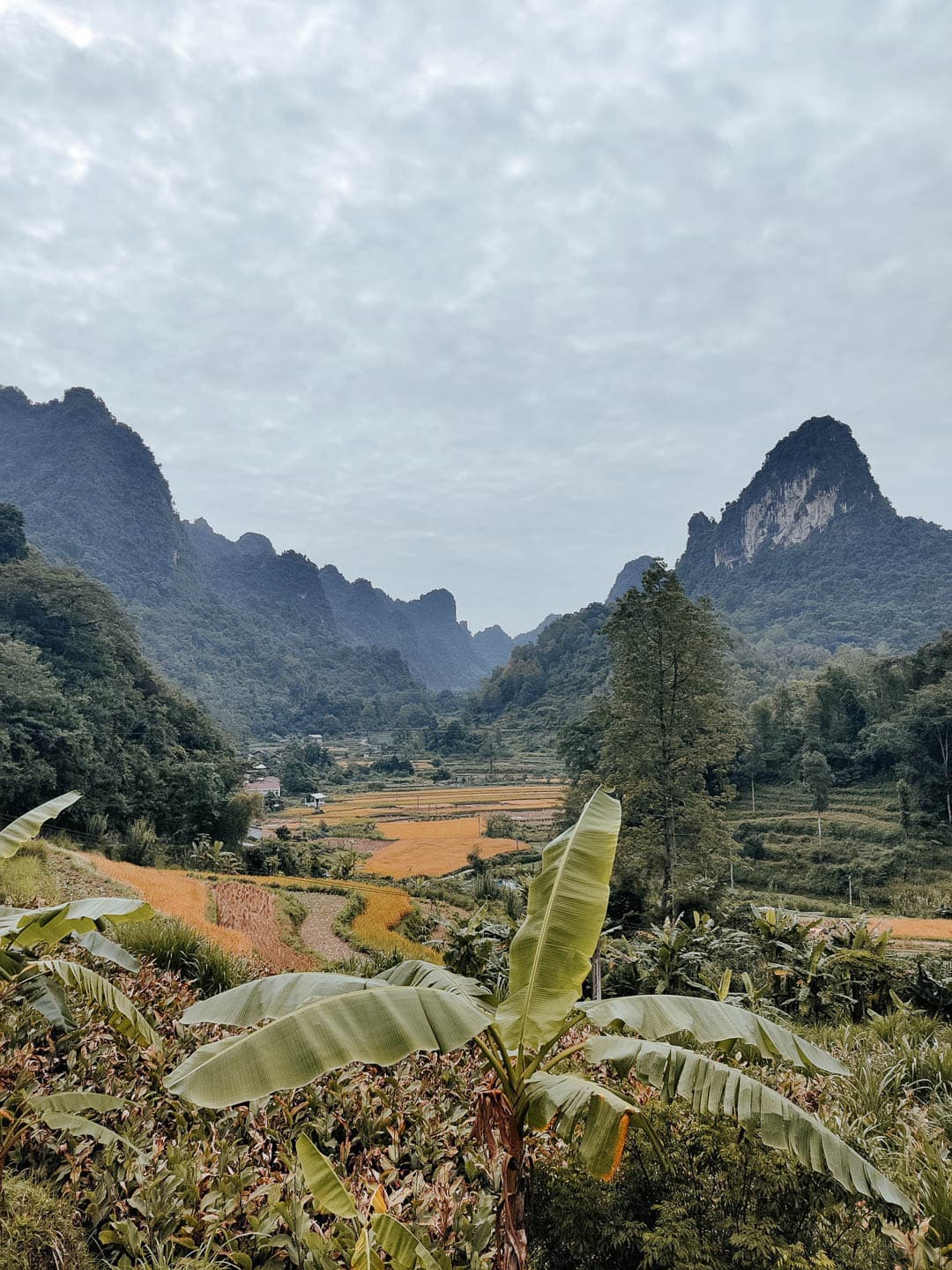 VNAN 021022 Mieke Van Kerrebroeck (91) 1080