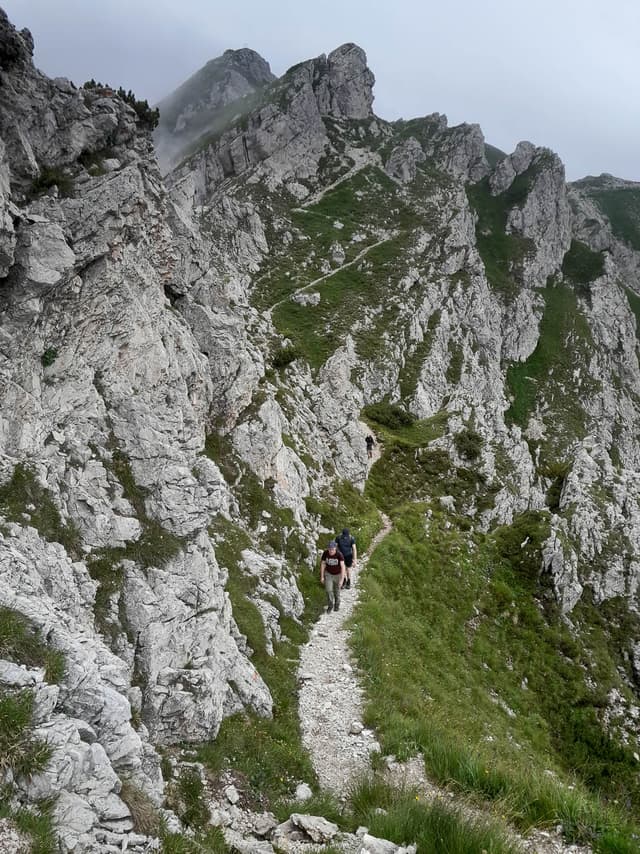 20240723 132400 Selectie Tom Cornelis W950