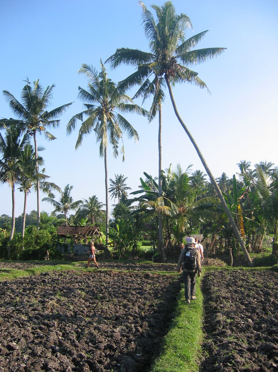 Indon-jong-06-Dries-Van-Melkebeke-7_export_w950