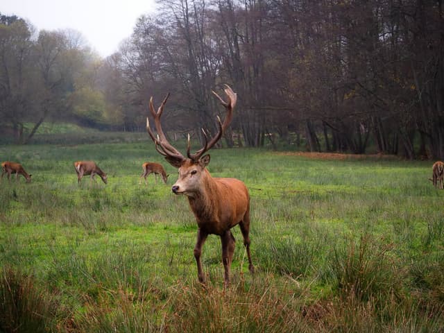 FR4VGB Stefvancampenhout 2024 (3) GLENN DE WILDE 1080