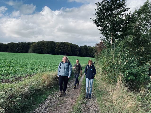 Image00011 Selectie Yesmin Haegeman W950