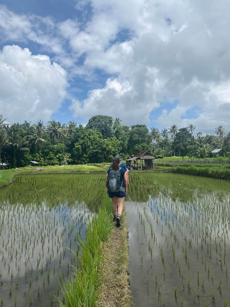 Whatsapp Image 2024 05 01 At 03.56.48 Selectie Joker W950