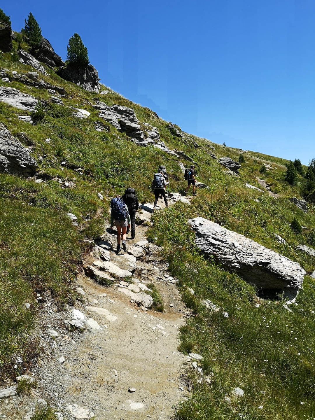 IMG 20230807 140735 1080