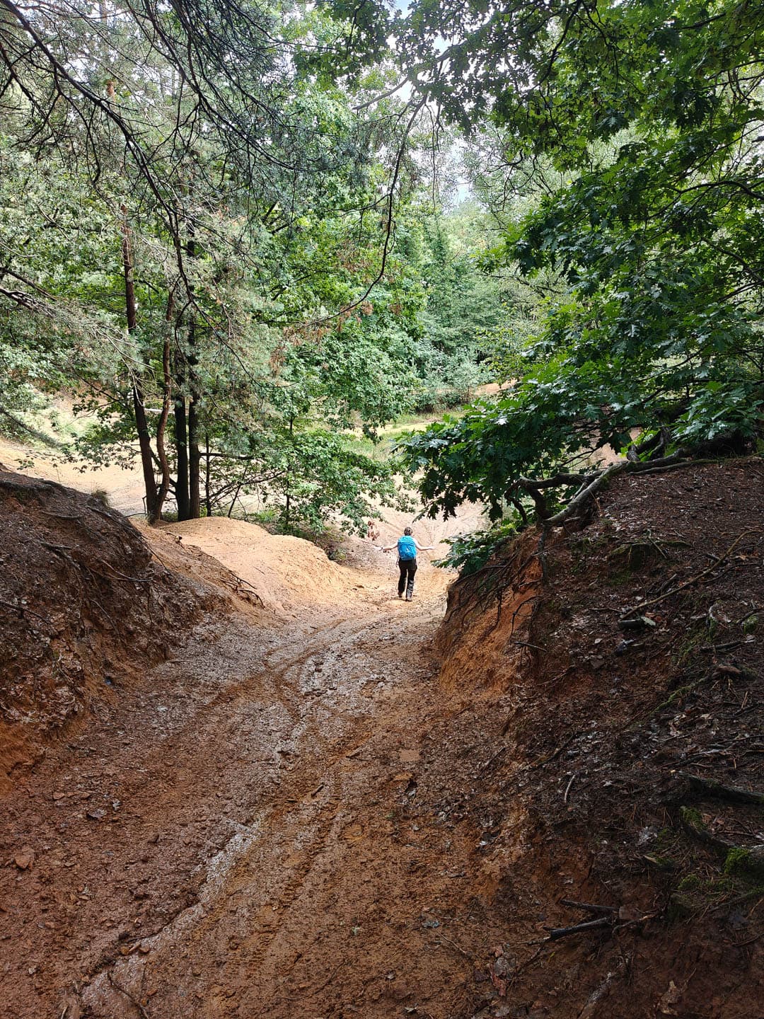 IMG20250802151448 1080