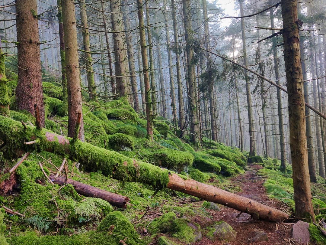 FR4VGB Stefvancampenhout 2024 (4) Stef Van Campenhout 1080